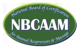 NBCAAMLogo4