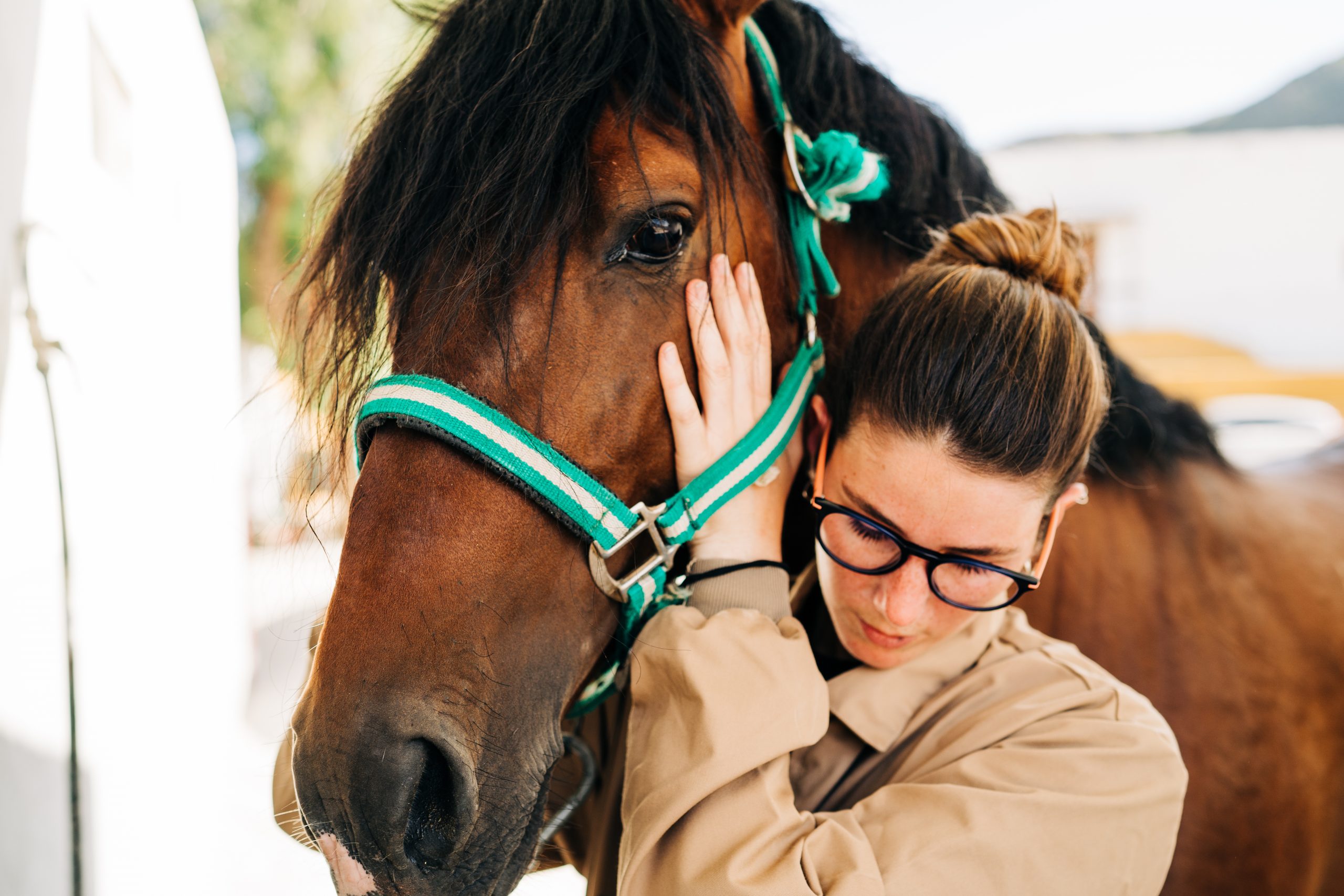 Young woman physiotherapist taking care a brown horse.