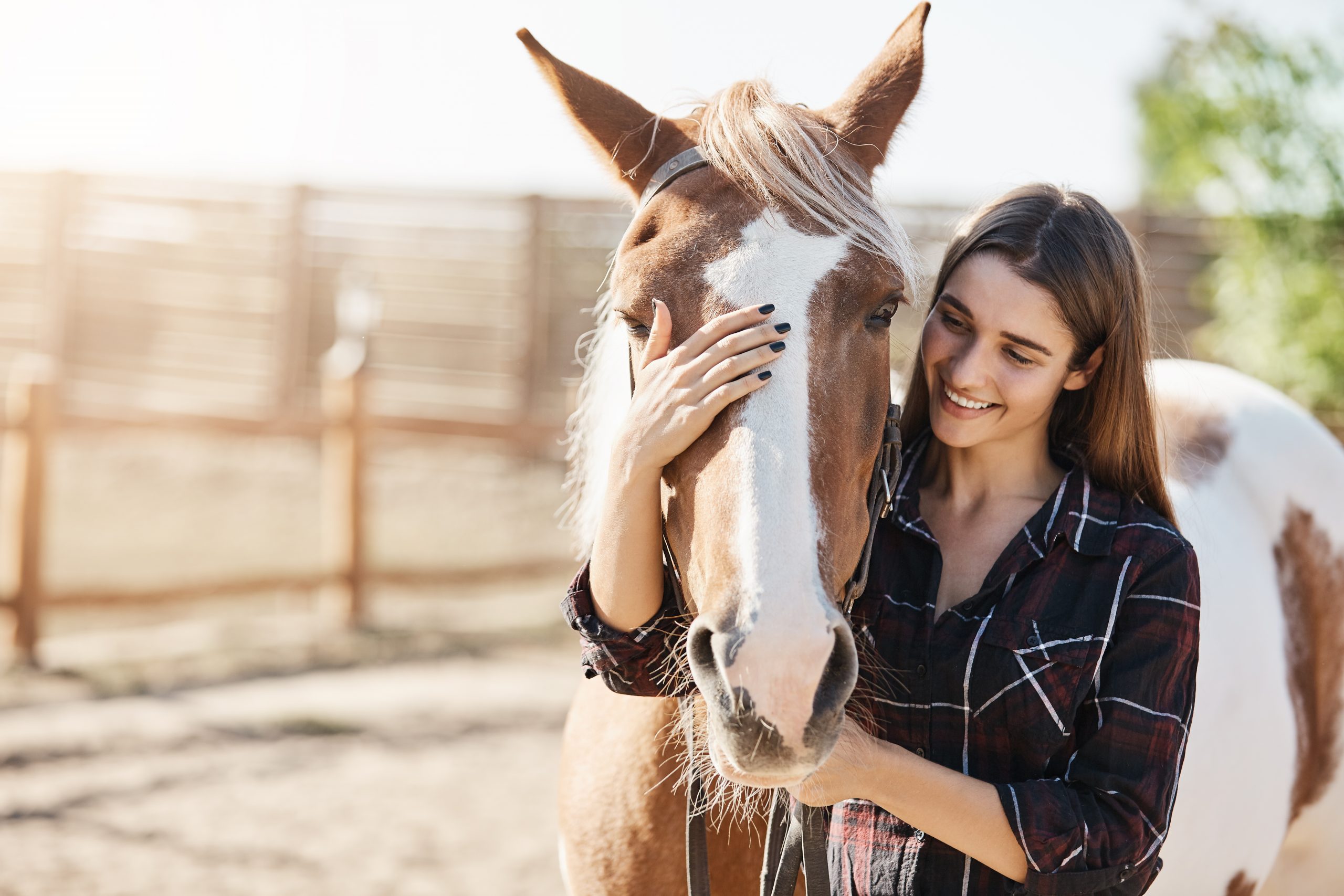 EQUINE CONTINUING EDUCATION