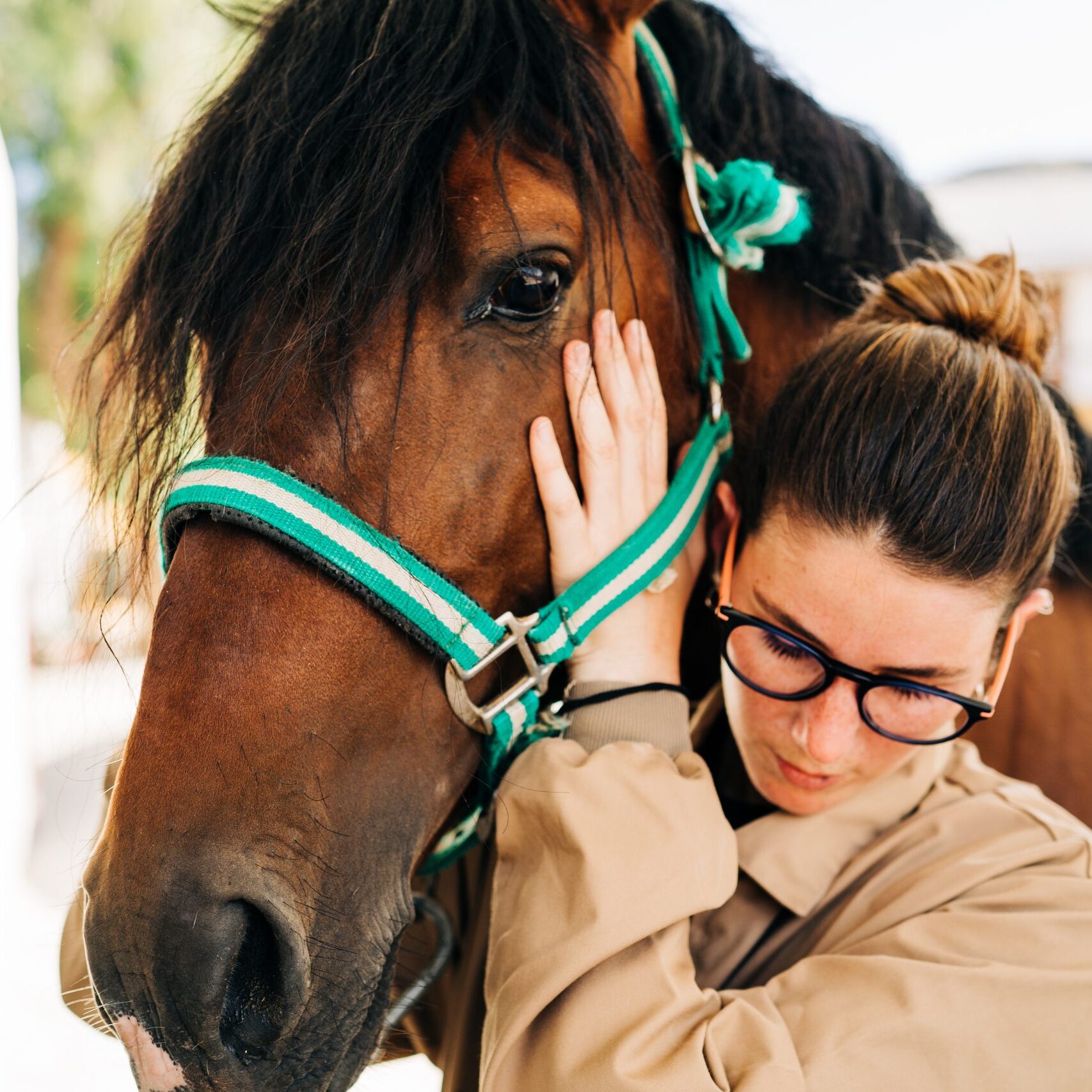Young woman physiotherapist taking care a brown horse.